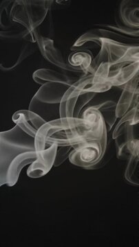 Abstract white smoke swirls isolated on a black background.