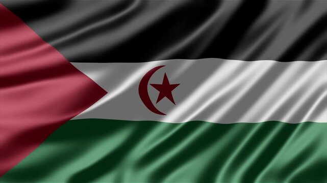 Western Sahara flag waving gracefully in the wind creating a beautiful high quality motion animation clip for patriotic broadcast media