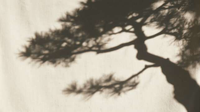 Pine Tree Shadow on Textured Linen Background