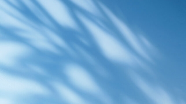 Palm Leaf Shadow on Light Blue Wall Background