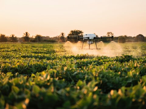 Agricultural drone spraying crops in a rural field at sunset