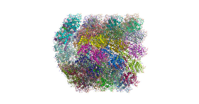 Measles virus helical nucleocapsid protein, side view 3D molecule 4K