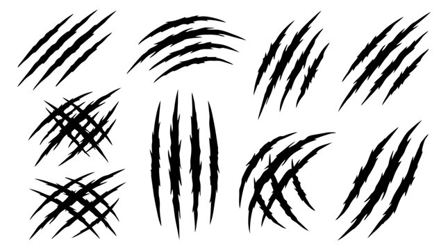 Claw scratch mark set vector illustration