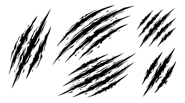 Claw scratch mark set vector illustration