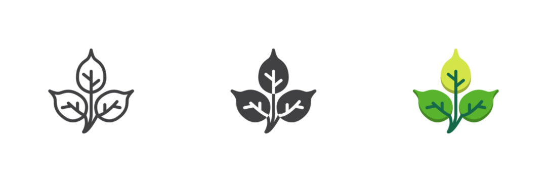 Plant leaves line solid flat colorful icon set