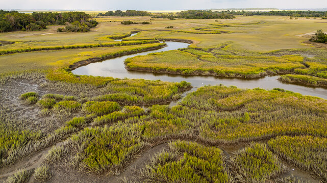 Drone captures aerial view of lowcountry marshland with winding waterways and lush grasslands in bright daylight