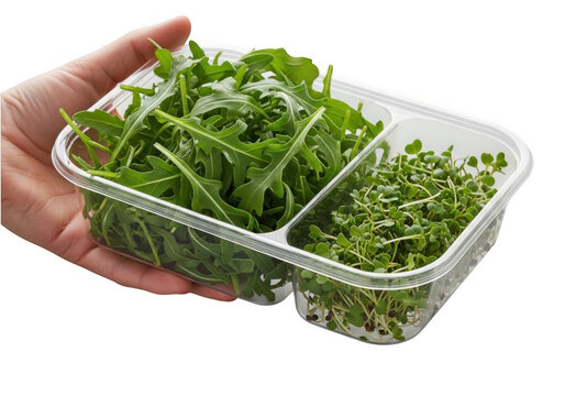 Fresh green leafy vegetable in plastic container isolated on transparent background