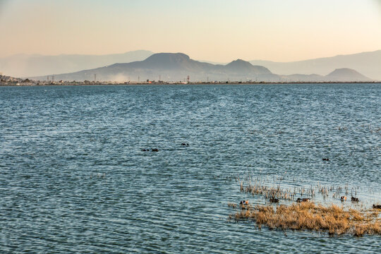 Vista del lago Nabor Carrillo en el Parque Ecol&oacute;gico Lago de Texcoco. Al fondo se puede apreciar la sierra de Santa Catarina, en la Ciudad de M&eacute;xico.