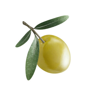 Fresh green olive with leaves, isolated on transparent cutout background