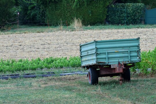 Ancienne remorque agricole verte stationn&eacute;e au bord d&rsquo;un vignoble