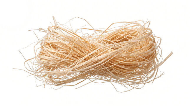 Loose bundle of natural light beige dried raffia fibers tied together