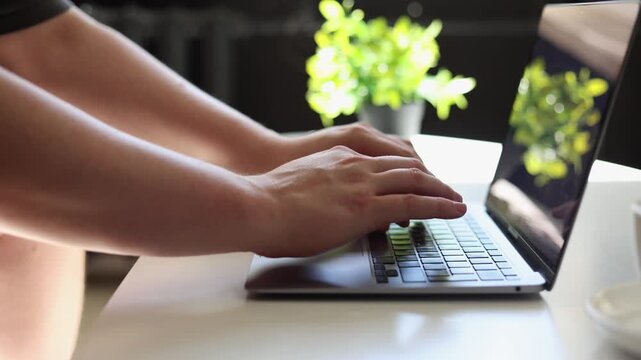 Close-up of hands typing on a laptop keyboard with a plant in the background