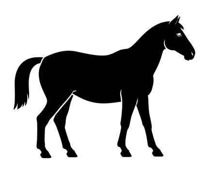 Pferd als schwarze Icon-Silhouette isoliert auf transparentem Hintergrund,
