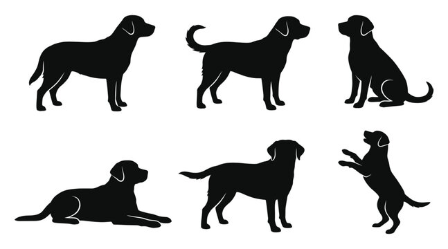 Silhouettes of labrador retriever dogs in various poses