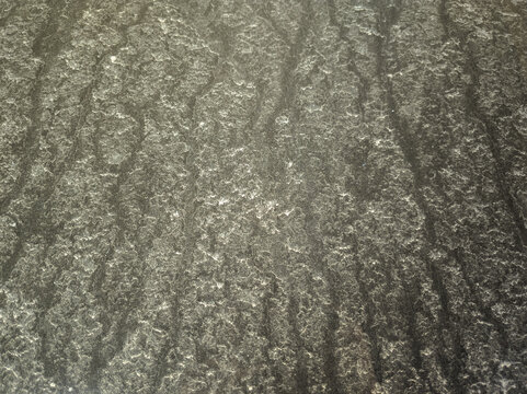 Dust and pollen after rain on car bonnet closeup
