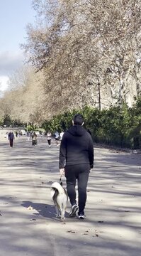 Perro ,paseo ,due&ntilde;o ,correa ,mascota y parque
