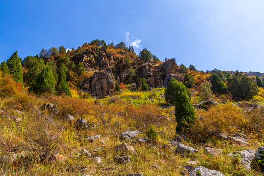 Mountain hillside with autumn foliage and evergreen trees