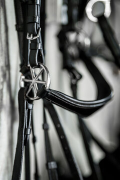 Close-up of polished black leather horse bridle and silver bit with buckles, equestrian tack detail