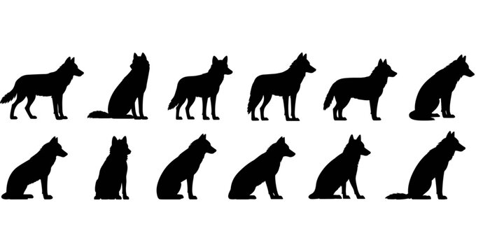 Twelve black silhouettes of wolves in various sitting and standing poses on a white background, set d