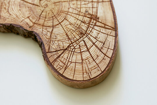 Tree ring slice forming a city street map urban nature concept