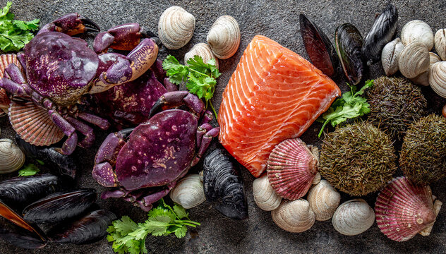 Fresh salmon, crabs ostions clams mussels, seaweed cochayuyo, sea urchins. Food background with copy space