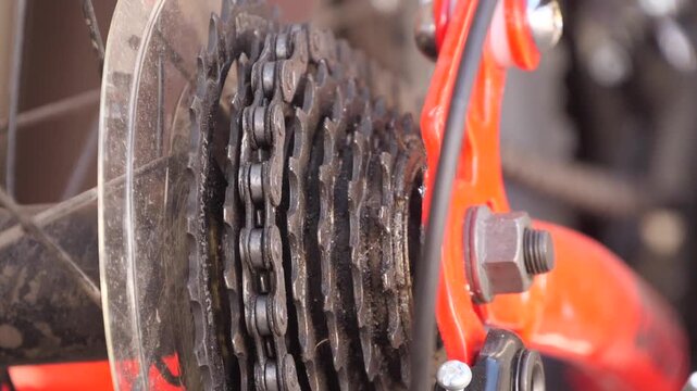 rear wheel of a bicycle close up