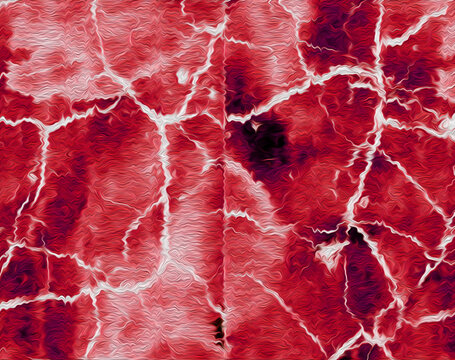 blood cells in a vein