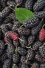 Many fresh mulberries with green leaf as background, top view © New Africa