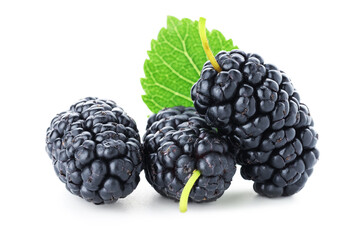 Fresh mulberries with green leaf isolated on white © New Africa
