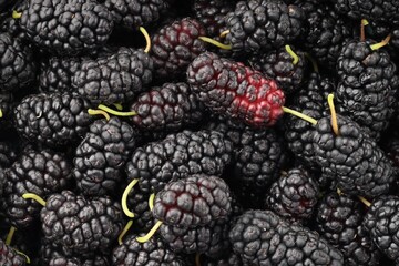 Many fresh mulberries as background, top view © New Africa