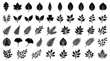 Obraz premium Collection of black leaf silhouettes on a white background
