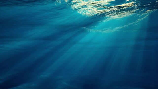 Aquatic life in deep blue ocean waters