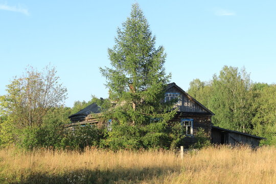Abandoned, uninhabited houses in old villages from the time of collective farms and collectivization in the Soviet Union. 1930-1940-1950s, Lapchenko village, north of the Kirov region, Russia.