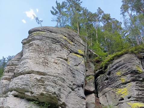 Sandstone rock formation in forest