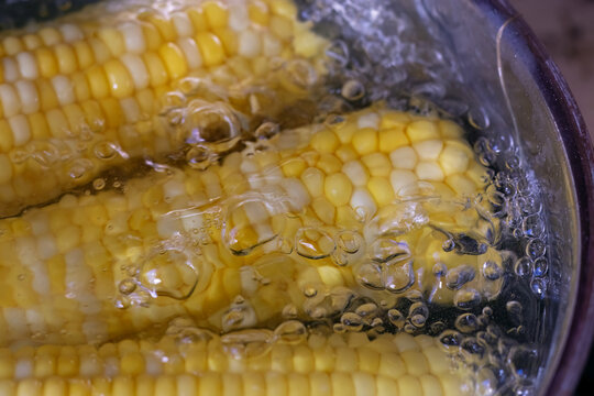 Close up of corn cobs boiling in bubbling water. Fresh sweet corn cooking in a pot for homemade meal preparation and healthy summer food