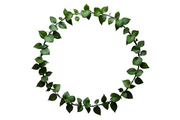 Naklejka premium Loose circular wreath of green leaves and vines