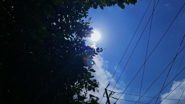 Sunburst through tree leaves with power lines against blue sky