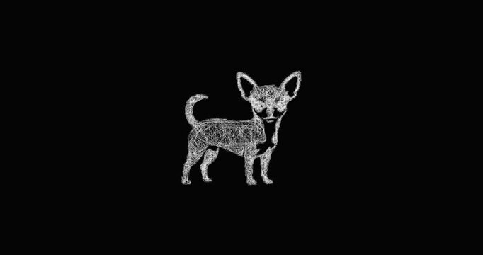 Sketch chihuahua icon animation - smooth progressive reveal