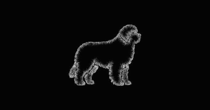Sketch newfoundland icon animation - smooth progressive reveal