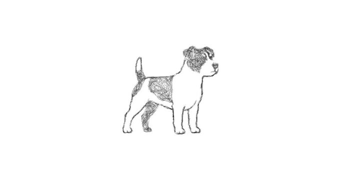 Sketch jack russell terrier icon animation - smooth progressive reveal
