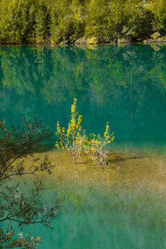 autumn feeling 