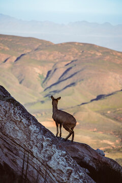 Swartberg Pass, South Africa