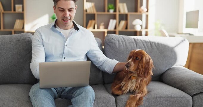 Man with laptop and spaniel dog indoors. On a sofa at home, the owner works online while petting his calm pet, showing comfort, focus and remote routine. Concept of home office balance.