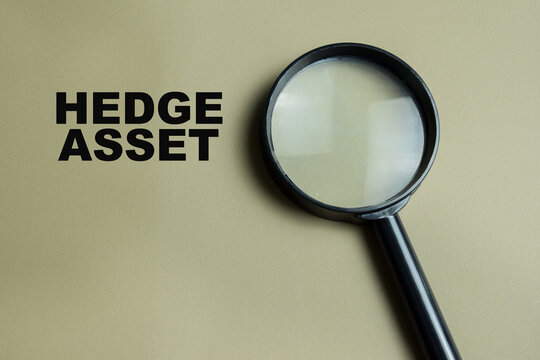 Concept of hedge asset write on color background.