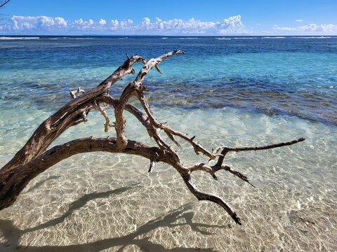 Bois-Jolan, Sainte-Anne, Guadeloupe