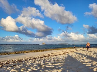 Pointe des Châteaux, Guadeloupe © vouvraysan
