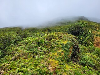 Volcan de la Soufrière, Guadeloupe © vouvraysan