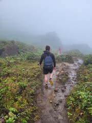 Volcan de la Soufrière, Guadeloupe © vouvraysan