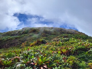Volcan de la Soufrière, Guadeloupe © vouvraysan