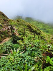 Volcan de la Soufrière, Guadeloupe © vouvraysan